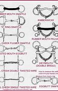Image result for Different Types of Horse Bits English