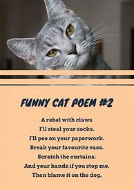 Image result for Funny Cat Poems