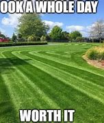 Image result for Lawn Care Memes