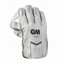 Image result for Wicket Keeping Gloves