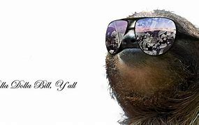 Image result for Sloth Desktop