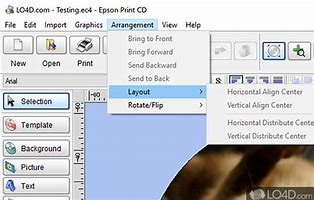 Image result for Epson Printer CD/DVD