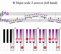 Image result for Petagra Left Hand Piano