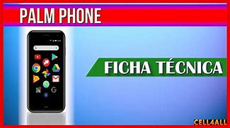 Image result for Palm Phone Pvg100