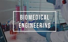 Image result for Biomedical Engineering Major