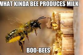 Image result for Bee's Knees Meme