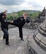 Image result for Silat Styles