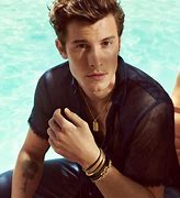 Image result for Shawn Mendes Ai Generator