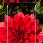 Image result for Flower Phone Wallpaper Android