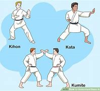 Image result for Beginner Karate Moves