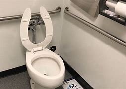 Image result for Kohler Self-Flushing Toilet