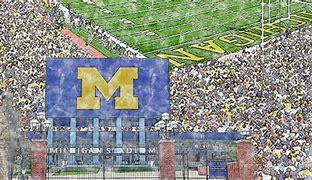 Image result for Michigan Stadium Print