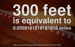 Image result for How Big Is 300 Feet