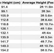 Image result for Human Height