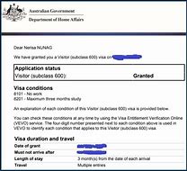 Image result for Work Visa Application Form