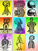 Image result for Anatomy Book Clip Art