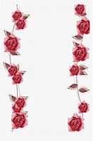 Image result for Trailing Pink Roses Without Background