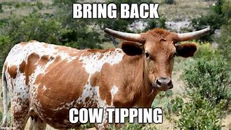 Image result for Cow Tipping Meme