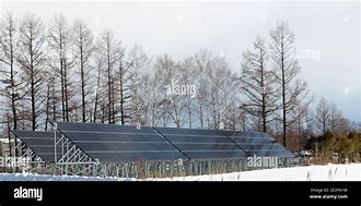 Image result for Solar Farm in Japan