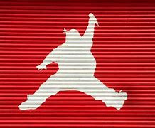 Image result for Big Pun Jordan Logo