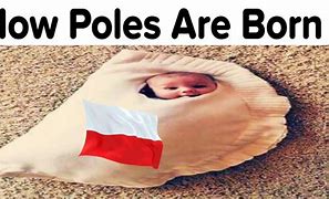 Image result for Polish Meme T-Shirts