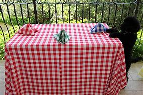 Image result for Summer BBQ Tablecloth