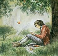 Image result for Newton Apple Falls