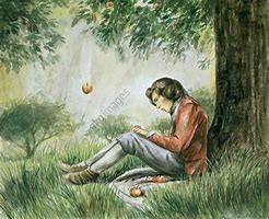 Image result for Issac Newton Apple's