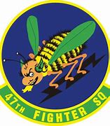 Image result for 47th Fighter Squadron
