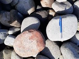 Image result for Omotu Pebble