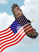 Image result for Bald Eagle Backround American Flag