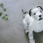 Image result for Aibo Price 31B