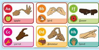 Image result for Sign Language Small Flashcards