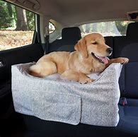 Image result for Dog Car Seat Carrier