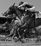Image result for Horse Racing Kentucky Derby