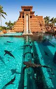 Image result for Atlantis Nassau Bahamas