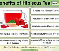 Image result for Hibiscus Tea Side Effects