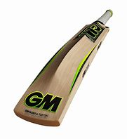 Image result for Cricket Bat GM