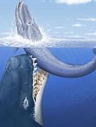 Image result for Biggest Animals Ever Found
