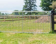Image result for Gates with Feets