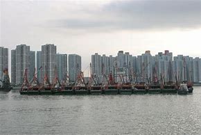 Image result for Typhoon Shelter Hong Kong