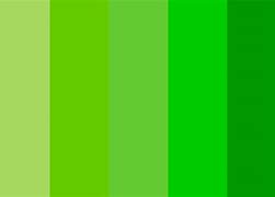 Image result for Apple Green Charcoal Color