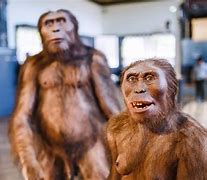 Image result for Early Human History