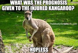 Image result for Funny Australian Jokes