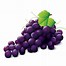 Image result for What Is the Film On Grapes