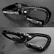 Image result for Double Locking Carabiner On a Swivel