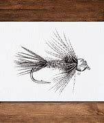 Image result for Fly Fishing Line Art