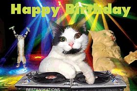 Image result for Happy Birthday Dancing Cats