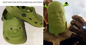 Image result for Hilarious Funny Shrek Memes