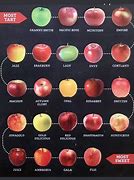 Image result for No Spray Apple Varieties